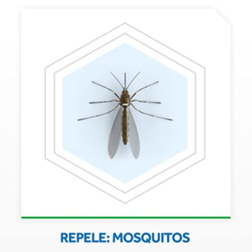 Raid, Repelente Líquido Elétrico com 3 unidades