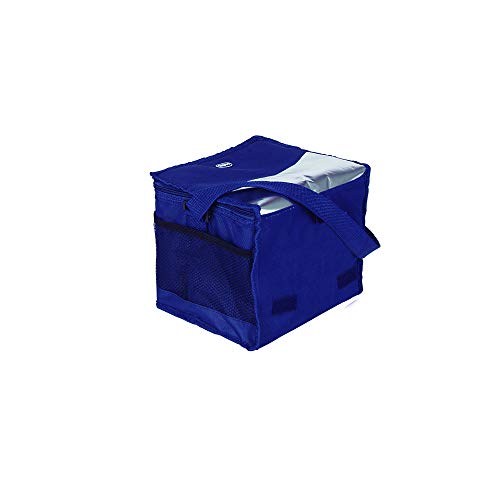 Bolsa Térmica 10 Litros Mor
