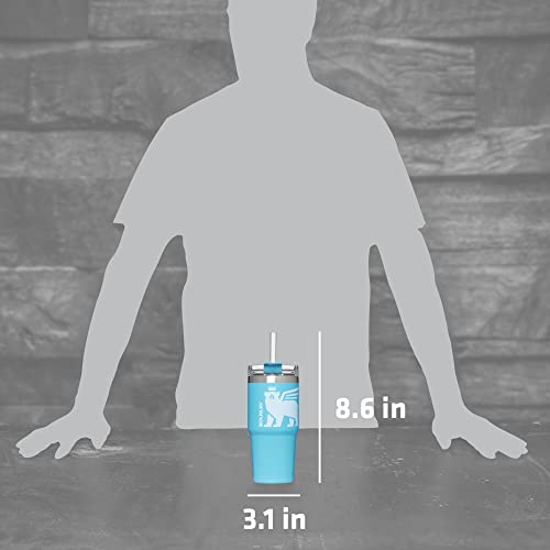 Stanley Copo de piscina Adventure Quencher de 400 ml