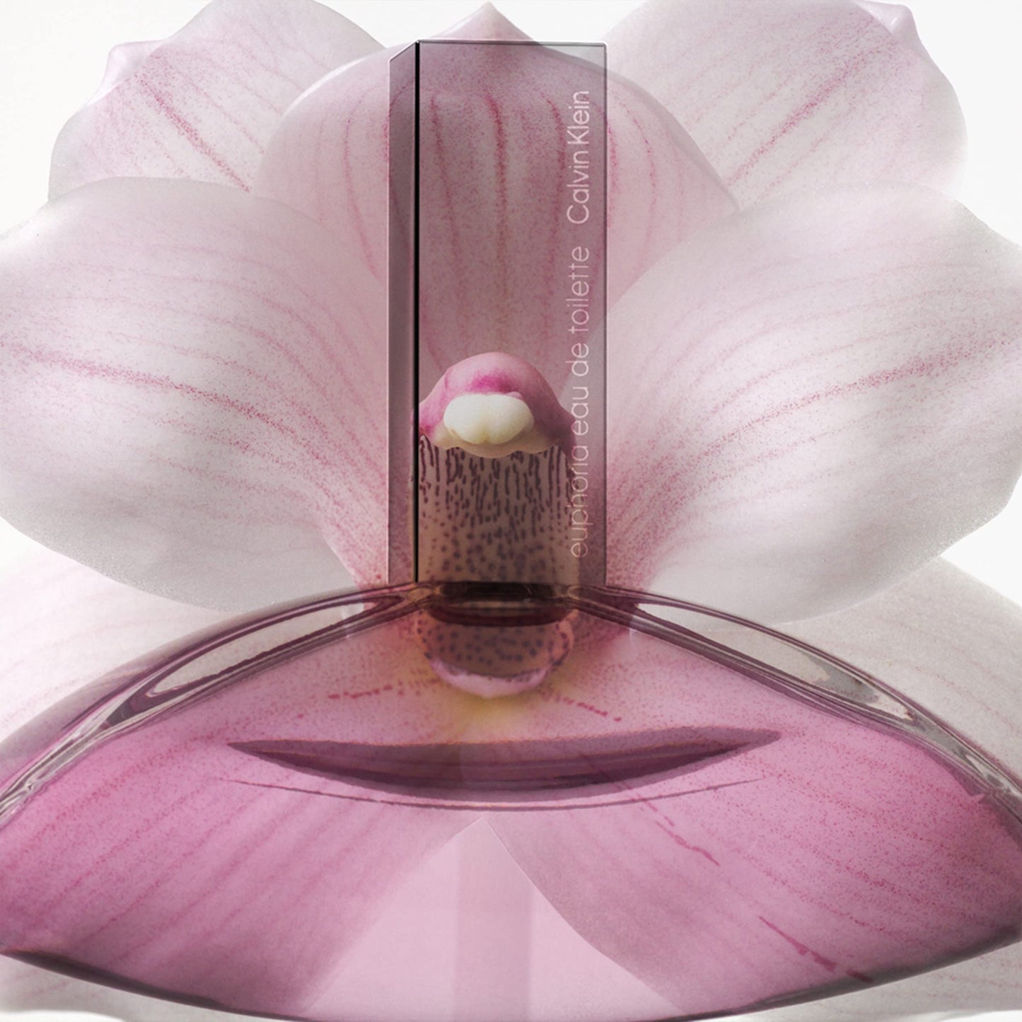 Calvin Klein Euphoria Eau de Toilette 50ml