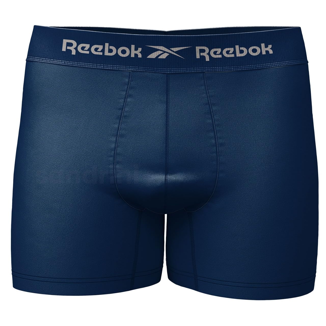 Kit 10 Cuecas Boxer Reebok Masculinas Microfibra Adulto Box Sem Costura + 2 Meias (BR, Alfa, M, Regular, Sortido)