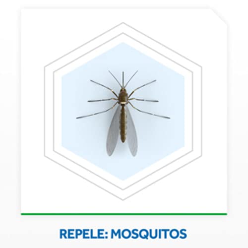 Inseticida Elétrico Líquido Refil Regular 2 Unidades, 32.9 ml Cada, Raid, 2 unidades, pacote de 2